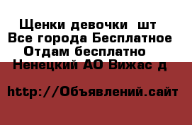 Щенки девочки 4шт - Все города Бесплатное » Отдам бесплатно   . Ненецкий АО,Вижас д.